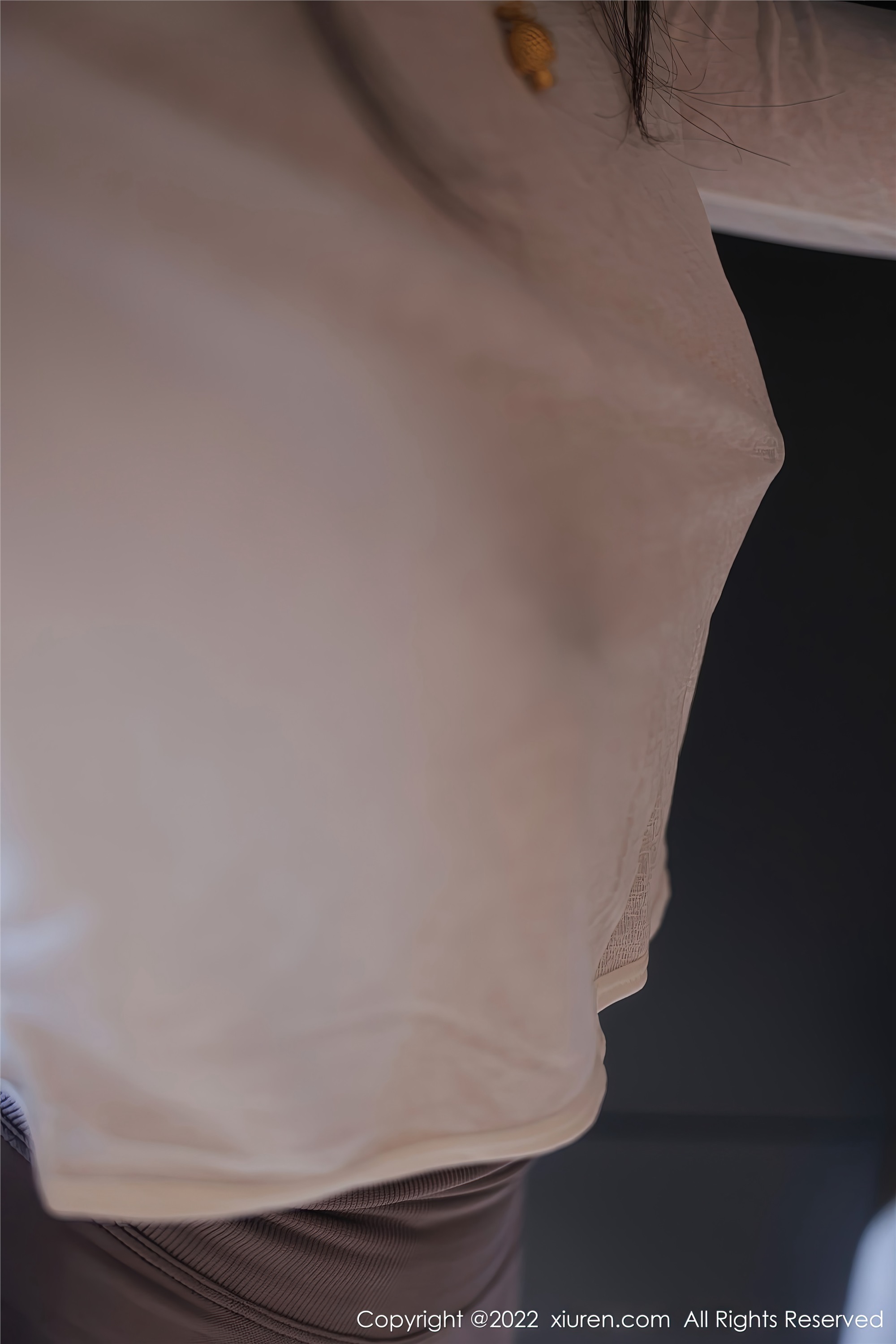 Xiuren秀人网 2022.11.03 NO.5799 苏苏阿